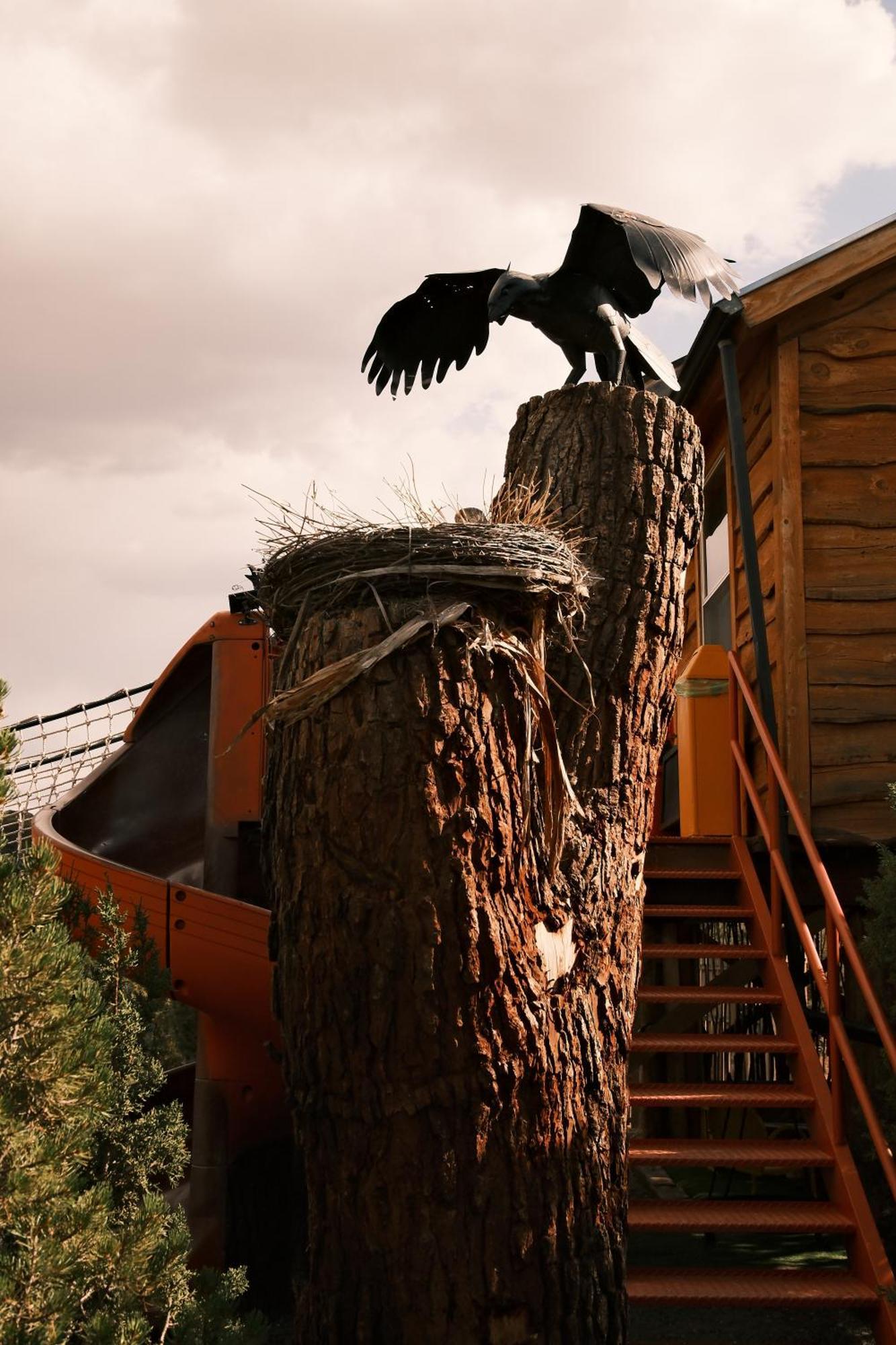 Willa Crows Nest Treehouse At El Mstico Ranch Nogal Zewnętrze zdjęcie