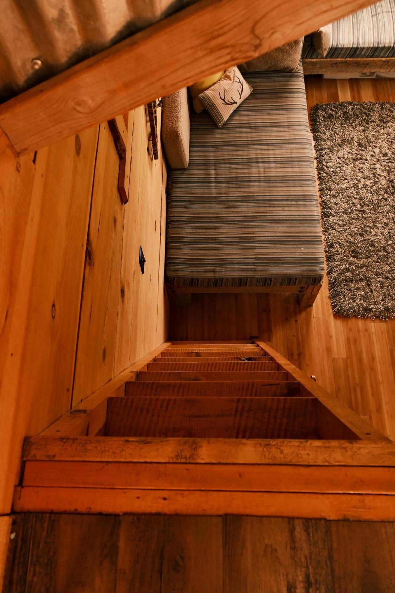 Willa Crows Nest Treehouse At El Mstico Ranch Nogal Zewnętrze zdjęcie